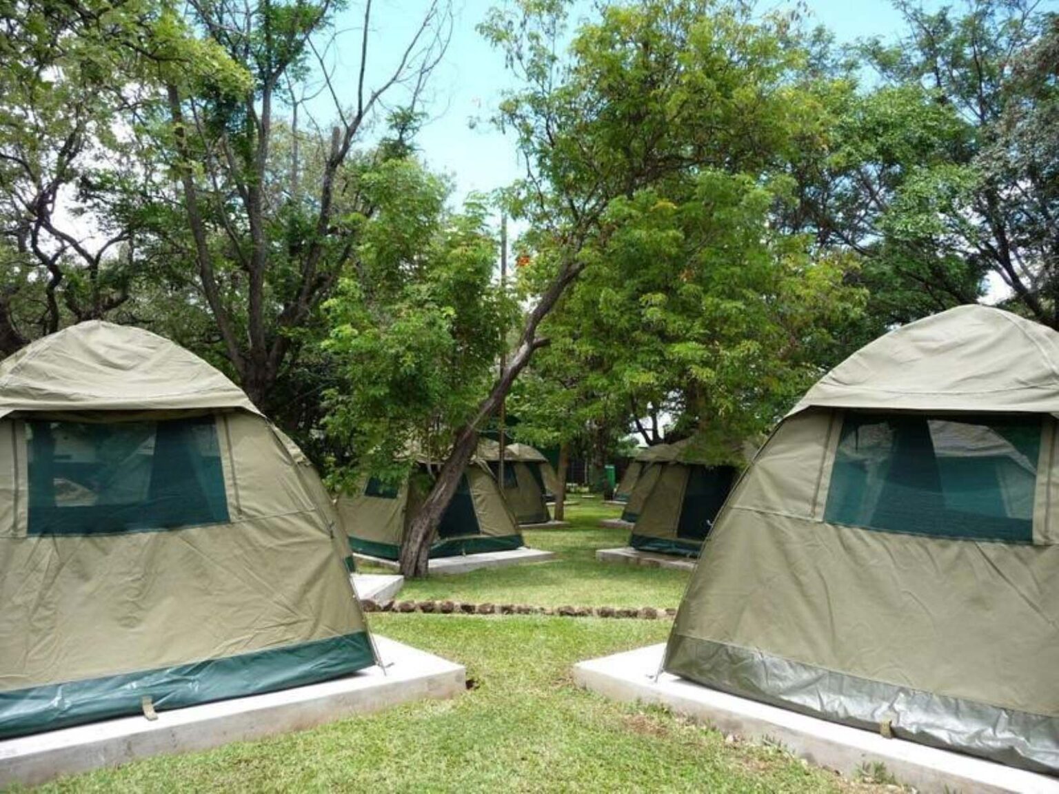 Safari Tent